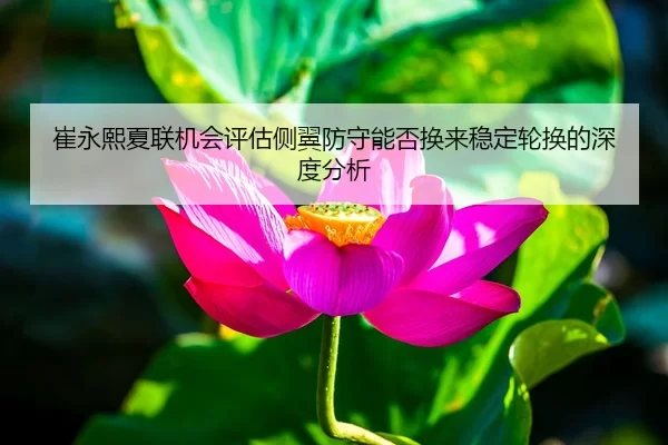 崔永熙夏联机会评估侧翼防守能否换来稳定轮换的深度分析