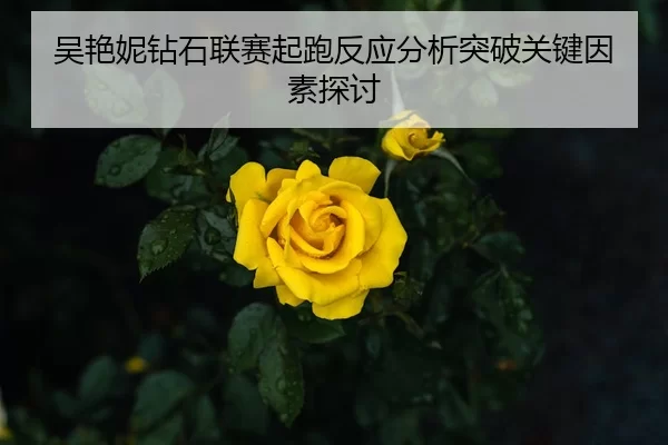 吴艳妮钻石联赛起跑反应分析突破关键因素探讨