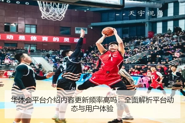 华体会平台介绍内容更新频率高吗：全面解析平台动态与用户体验