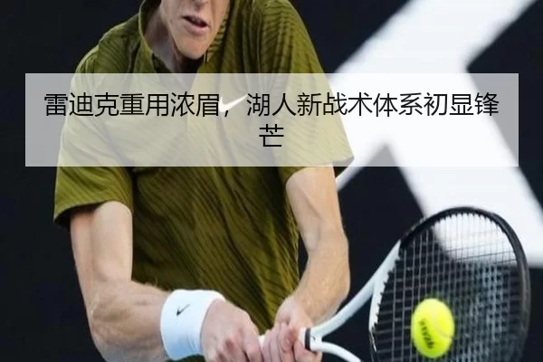 雷迪克重用浓眉，湖人新战术体系初显锋芒